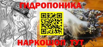 spice Кимры