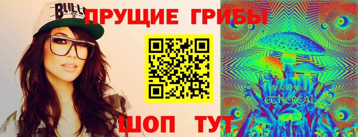 Галлюциногенные грибы Psilocybine cubensis Кропоткин